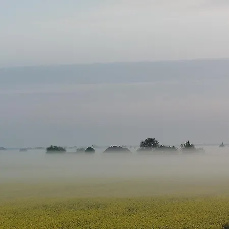 Tropikalna Odnowa