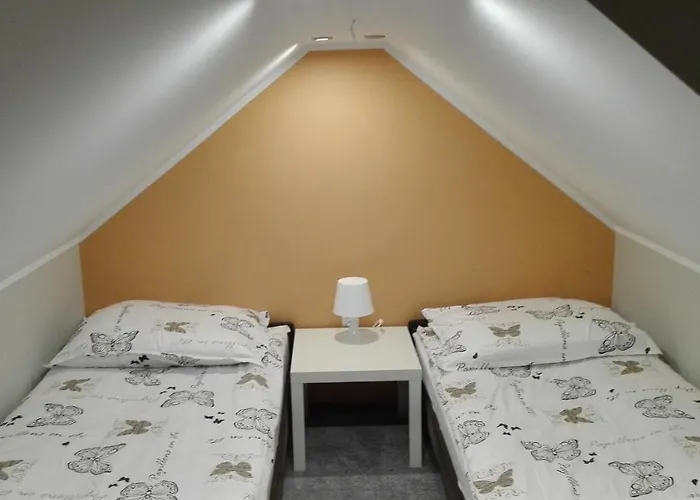 Tropikalna Odnowa Bed & Breakfast Falkowo